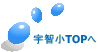 �F�q��TOP�� 