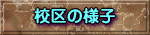 �Z��̗l�q